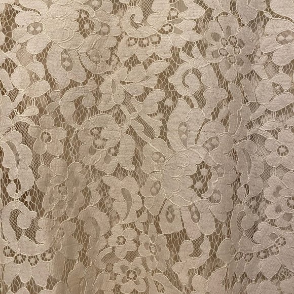 Joie Elvia Lace Top - Picture 12 of 12